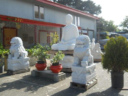 Photo of Le Thu T.