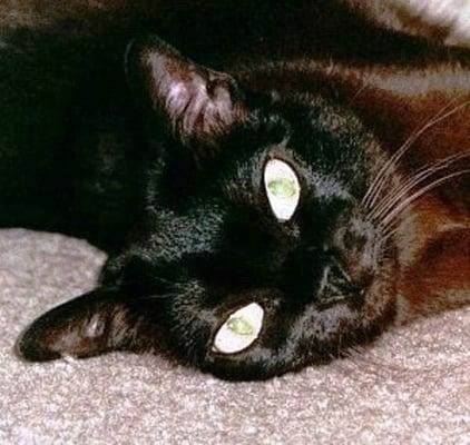 photo of Carol And Hedy E.