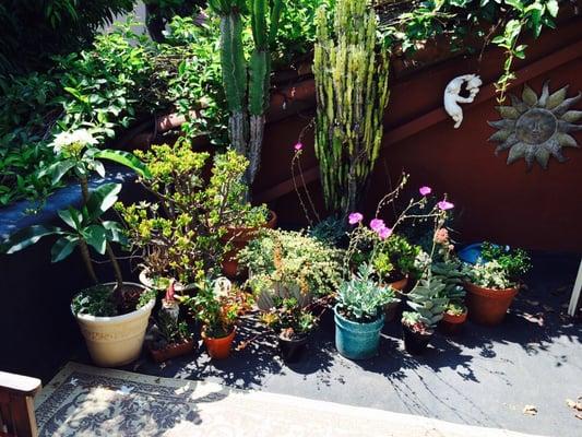 photo of Foodista N.