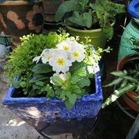 Photo of Kathy V.
