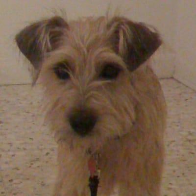 Photo of .pepper E.