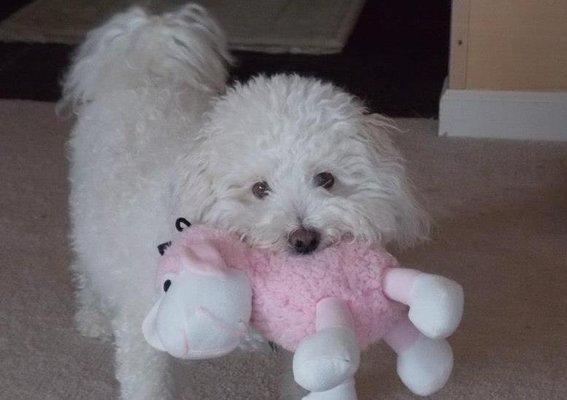 photo of Patricia L.