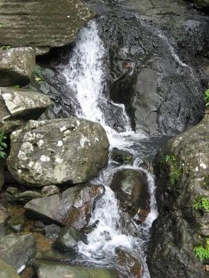 Photo of m j.