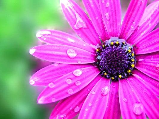 photo of Christine G.