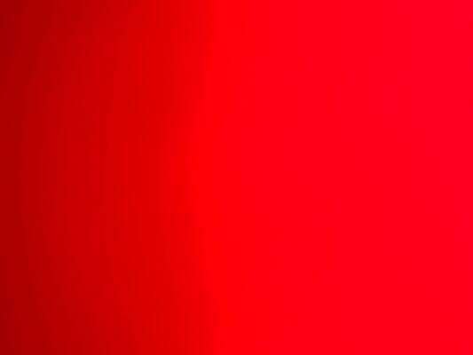 photo of Veronica L.