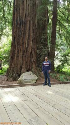 photo of Satyender M.