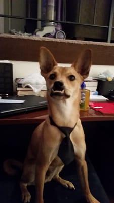 photo of Michelle J.