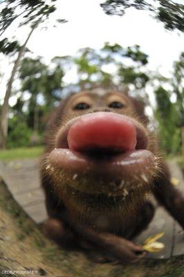 photo of Brooklyn H.