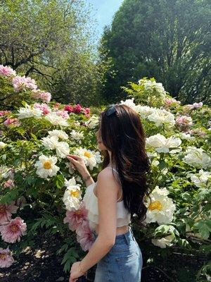 Photo of Yuki L.