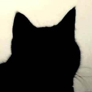 photo of Jeanette D.