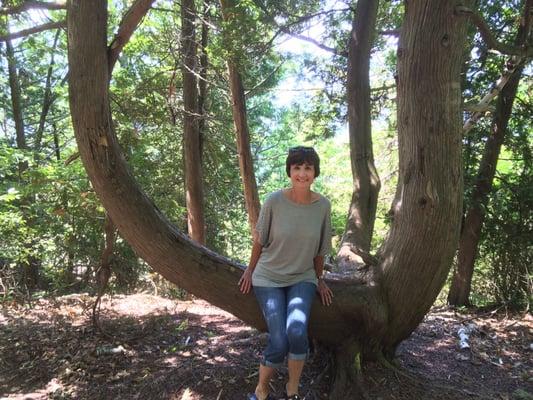 Photo of Deborah N.