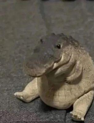 photo of Shusmufood G.