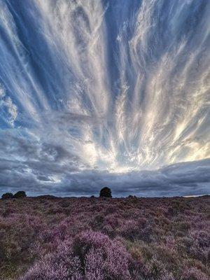 Photo of Walter Matthew M.