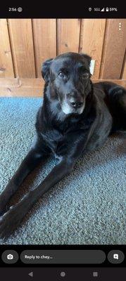 photo of Jennifer H.