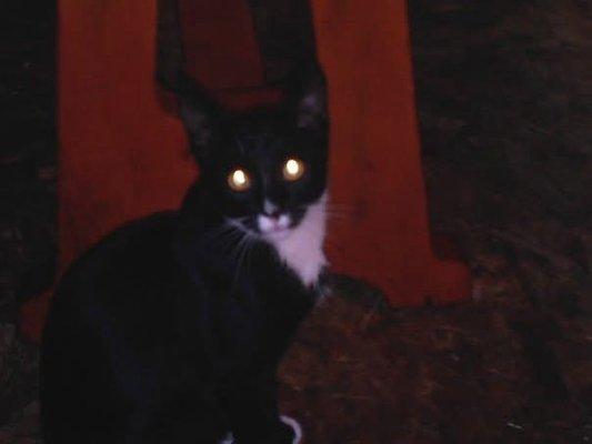 photo of Samantha L.