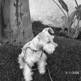 Photo of Sassy M.