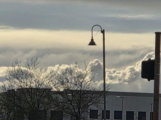 photo of Kristine K.