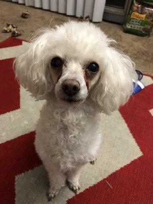 photo of Quinzelle Z.