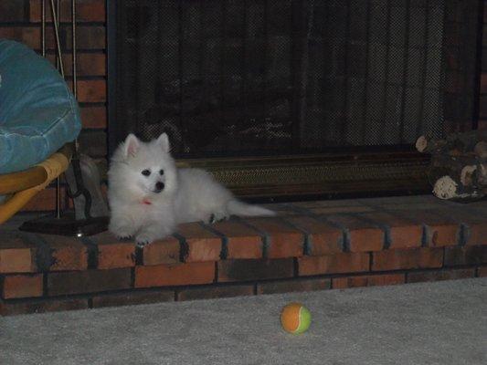 Photo of Karen T.