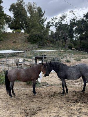 photo of Clarissa R.