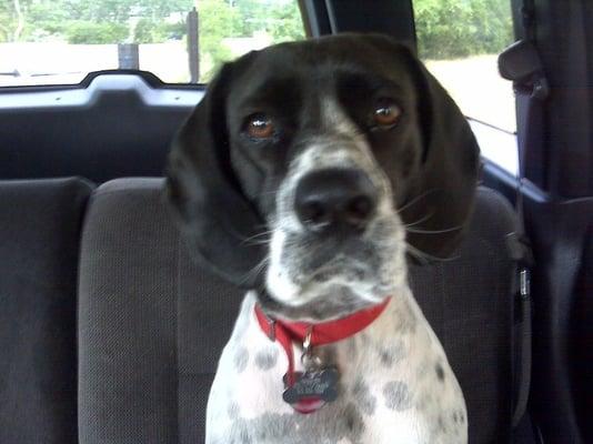 photo of Courtney G.