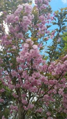 Photo of Elizabeth P.