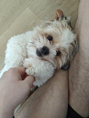 photo of Htoo Aung W.