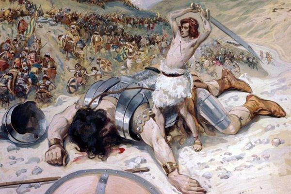 photo of Paradise City Elite X.