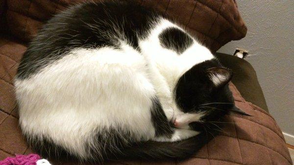 Photo of Stephanie B.