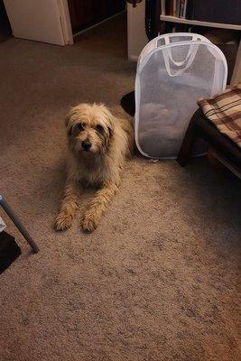 photo of Christian K.