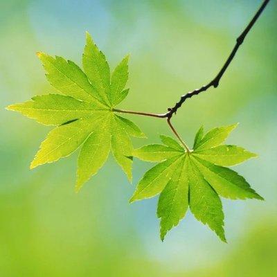 Photo of Danielle D.