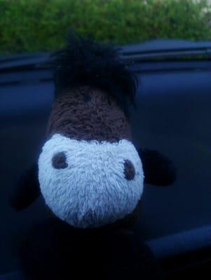 Photo of Jiffy J.