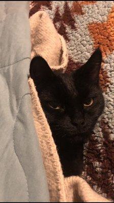 photo of Nicholas C.