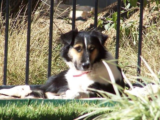 Photo of Laurianne R.