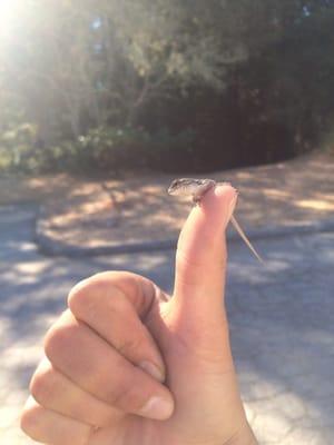 photo of Veronica Z.