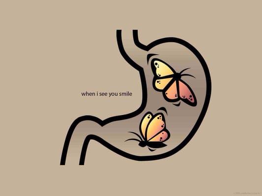 photo of The Stomach ..