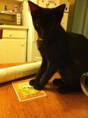 photo of Christina R.