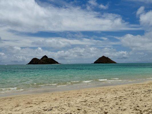 photo of Lisa Naone ..