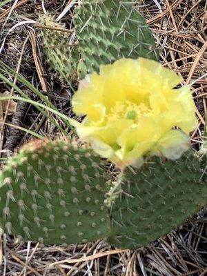 photo of Chastity S.