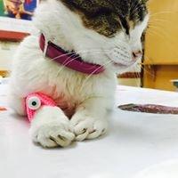 photo of Marcello M.