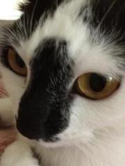 Photo of Tomoko W.