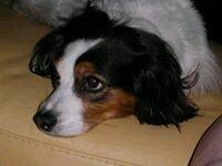 photo of Karen K.