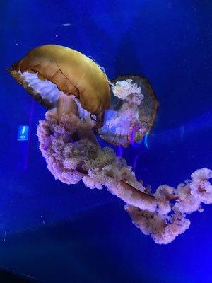 Photo of Donde Esta La Leche R.