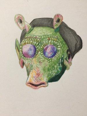 photo of Manfredo V.