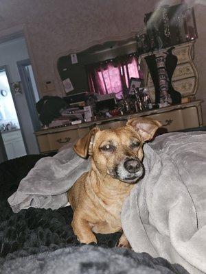 Photo of Lulu H.
