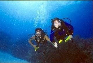 Photo of Denise D.