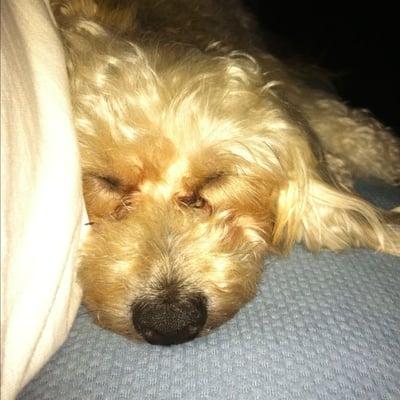 Photo of Jeffry A.