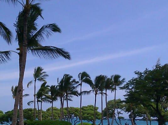 Photo of Terrence C.