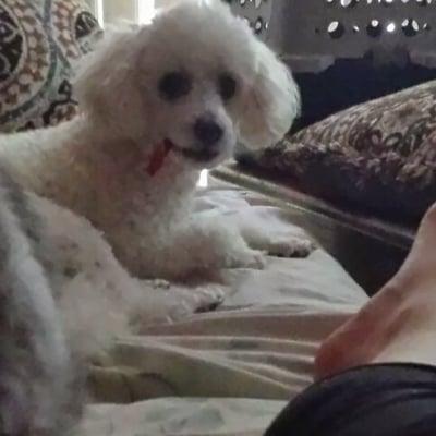 Photo of Precious P.