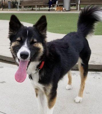 photo of Danielle R.